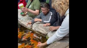 Карпы сыты, люди рады