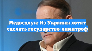 Медведчук: Из Украины хотят сделать государство-лимитроф