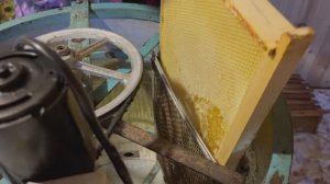Качаем мед,пчеловодство,пасека