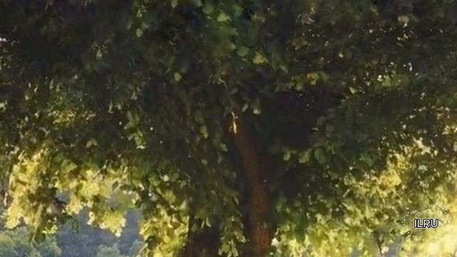 Рассказы истории из жизни аудио слушать бесплатно - От конфликта  к гармонии...