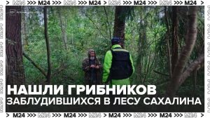 Новости регионов: спасатели нашли 4 грибников, заблудившихся в лесу Сахалина - Москва 24