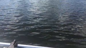 Как плывет лодка Ривьера 3200 ск под мотором 5 л.с(NS Marine NM 5 B DS)