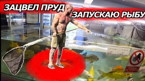 ЗАЦВЕЛ ПРУД | ЗАПУСКАЮ РЫБУ