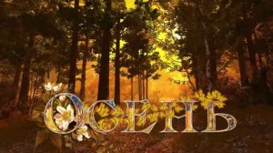 Осень под ногами на подошве