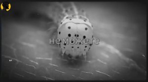 (27 УРОК) Игнорирование тебя означает, что она заботится больше, чем ты думаешь _ СТОИЦИЗМ