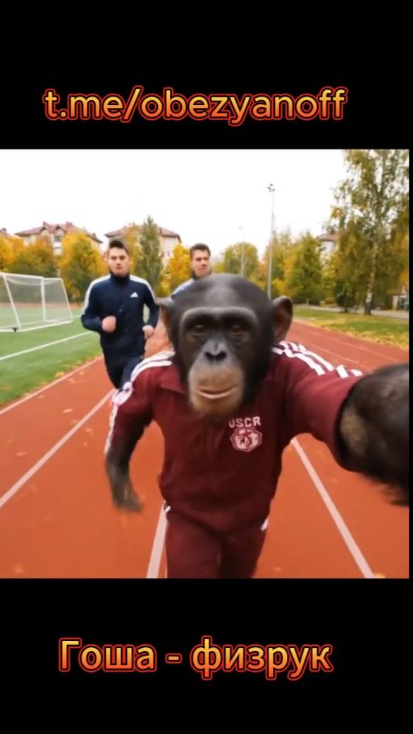 Гоша Обезьянов физрук! смотреть онлайн