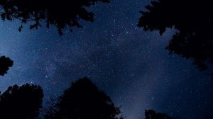 Кельтские мотивы. Ночной привал_The Night Halt, Instrumental by Shaini Lorien