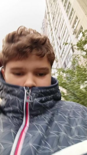 стримчульчик