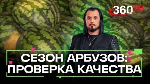 Арбузы в Подмосковье проверили на качество