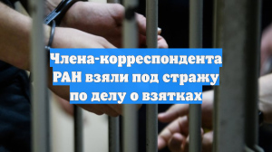 Члена-корреспондента РАН взяли под стражу по делу о взятках