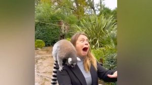 СМЕШНО (нарезка ржаки)