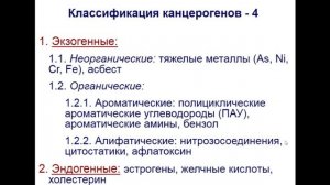 Патофизиология опухолевого роста (Власов Т.Д.)