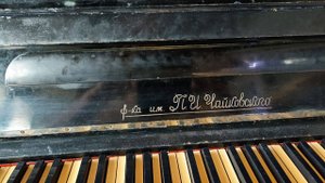 НЕ УЙДЁТ, КАЗАЛОСЬ, ЛЕТО. А ТЕПЕРЬ? ЛИСТЬЯ ЖЁЛТЫЕ НАД ГОРОДОМ КРУЖАТСЯ