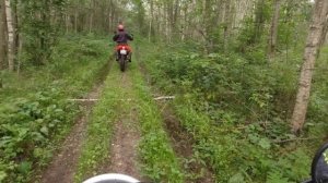 Yamaha & Regul Moto грязевые приключения