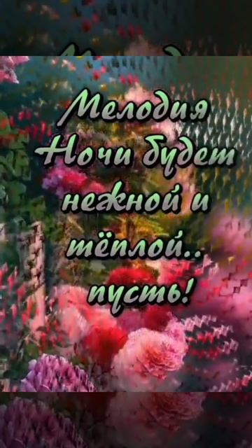 Спокойной ночи сладких снов