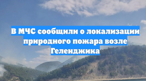 В МЧС сообщили о локализации природного пожара возле Геленджика