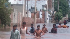 Стихийное наводнение уничтожает население Индии и Пакистана. Целые города ушли под воду