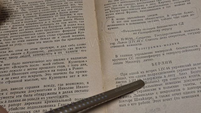 Тайна гибели Николая Кузнецова.14. Убили 