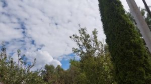Почти осенний влог