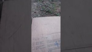 ураган