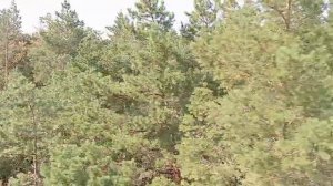 С Ириной на канатной дороге 29.08.25.