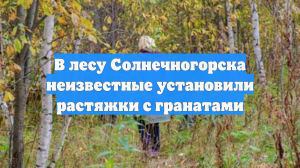 В лесу Солнечногорска неизвестные установили растяжки с гранатами