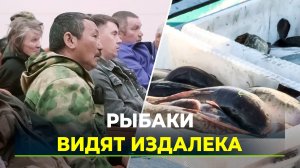 Мнение рыбаков учтут при внесении изменений в правила отрасли