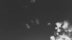 Муслунтӧг дзескыд