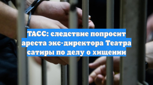 ТАСС: следствие попросит ареста экс-директора Театра сатиры по делу о хищении