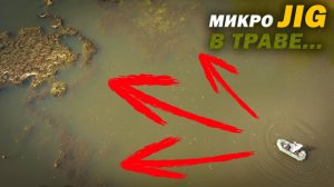 Как ловить ХИЩНИКА на МИКРОДЖИГ в ТРАВЕ / Рыбалка в НОВОСИБИРСКЕ.