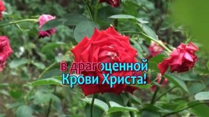 87. Грех победить о желаешь ли ты