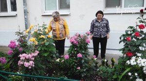 Палисадники для души