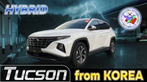 Настоящий Кореец! HYUNDAI TUCSON 2021 года, гибрид. Обзор, приёмка, мнение об автомобиле