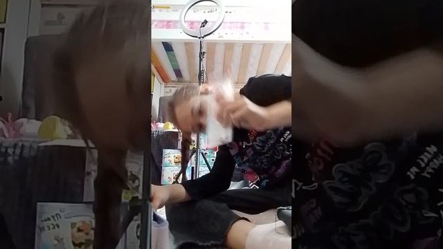 собираемся к школе часть первая. смотреть онлайн