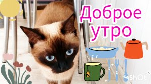 Доброе утро 29-08-2025 #завтрак #Ладушка #жизнь