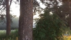 Интересные истории из жизни аудио рассказы. Таинственный случай...