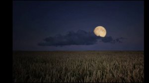 Тихой ночью, поздним летом... Федор Тютчев.