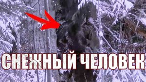 Канадский охотник заснял на видео спящего снежного человека в зимнем лесу