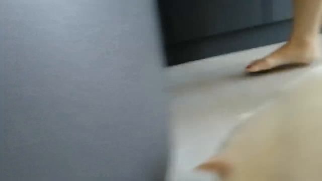 как проводит день мой кот