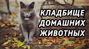 Кладбище домашних животных