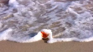 Эдгар Туниянц. Романтическая музыка для души. Очарование. Edgar Tuniyants. Charm