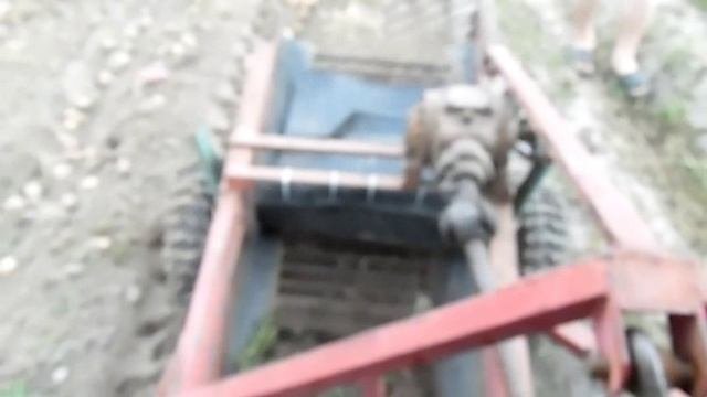 Продолжаем копать картошку.