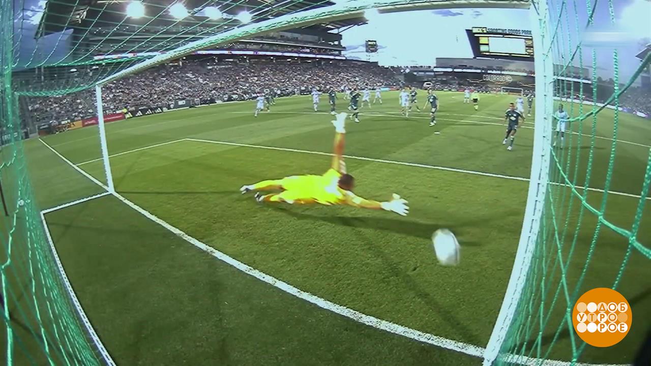 Голы-красавцы со всего мира. Доброе утро. Фрагмент выпуска от 29.08.2025