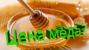 Цена мёда: Как не продешевить и продать с максимальной выгодой