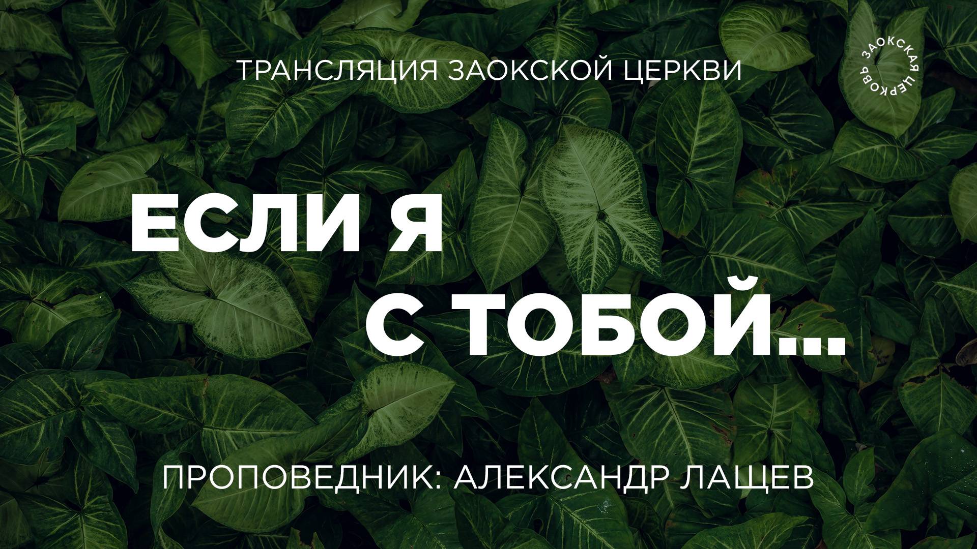 БОГОСЛУЖЕНИЕ онлайн - 29.08.25 / Трансляция Заокская церковь