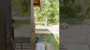 пятница, конец августа 2025г. поехал на участок.