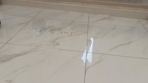 уборка пылесосом Narwal Freo Z Ultra в номинальном режиме мощности