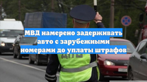 МВД намерено задерживать авто с зарубежными номерами до уплаты штрафов