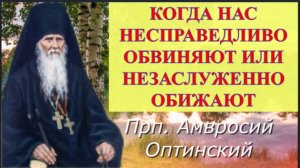 Если вас Несправедливо обвиняют или Незаслуженно обижают, Поступайте так..._Советы прп. Амвросия