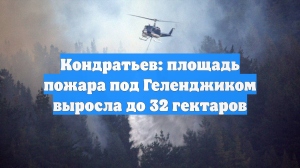 Кондратьев: площадь пожара под Геленджиком выросла до 32 гектаров